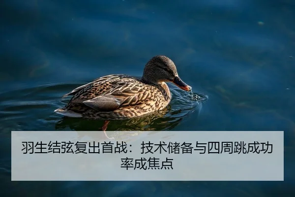 羽生结弦复出首战：技术储备与四周跳成功率成焦点