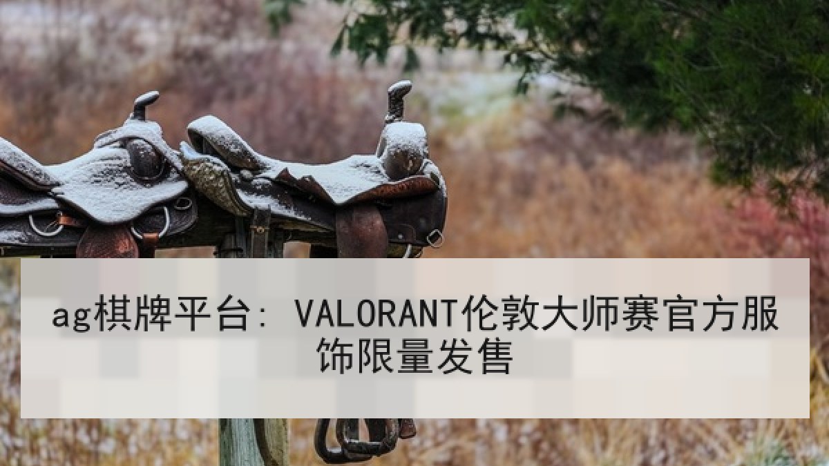 ag棋牌平台: VALORANT伦敦大师赛官方服饰限量发售