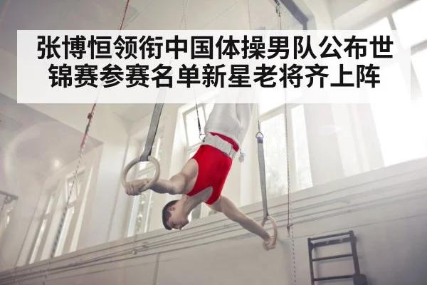 zhang boheng gymnastics