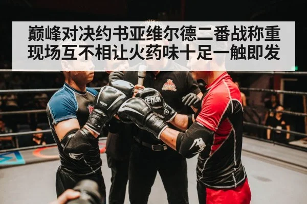 巅峰对决约书亚维尔德二番战称重现场互不相让火药味十足一触即发