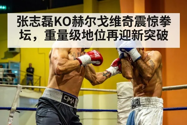 张志磊KO赫尔戈维奇震惊拳坛，重量级地位再迎新突破
